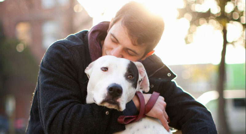 5 Ways Pets Bring Out the Healthier and Happier You
